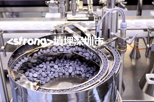 <strong>填埋深圳市危險廢物處理站有限公司化工設(shè)施安全解體：如何高效處理復(fù)雜工業(yè)遺留問題？</strong>